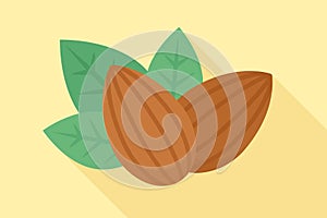Two almonds with green leaves on yellow background