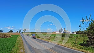 Two Amish Horse and Buggy Trotting Away Down a Country Road