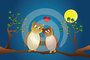 Two amorous owl sitting on a branch, at night.