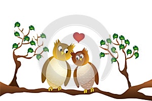 Two amorous owl sitting on a branch, white background