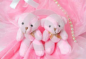 Two amusing pink teddy bear