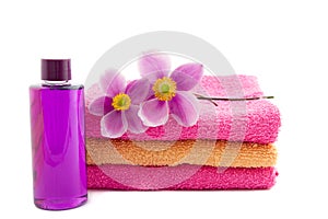 Two anemones on pink and orange towels