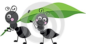 Two ants carrying a green leaf