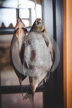 Two appetizing dried fish weigh on blurred background