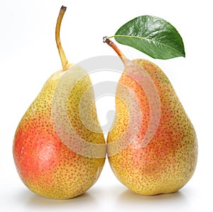 Two appetizing pears with a leaf.