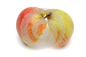 Two apple halves
