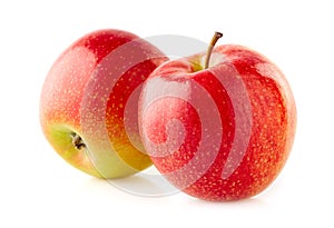 Two apples in closeup on white