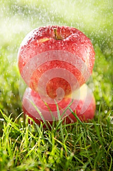 Dos manzanas en la lluvia 