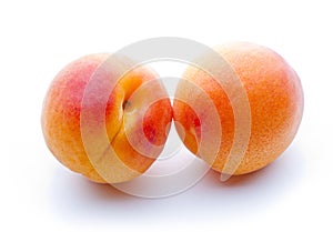 Two apricots close-up