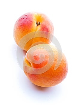 Two apricots with water drops close-up