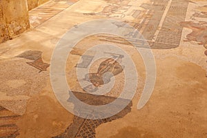 Two-apse room, of the Villa Romana del Casale, Piazza Armerina