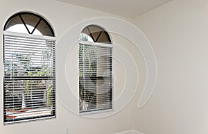 Two arched windows