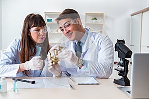 The two archeologists looking at ancient gold lamp