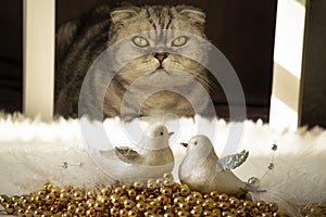 two artificial figurines of a bird in a golden nest and a cat lurking in ambush.