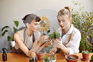 Two arty women explore a plant photo