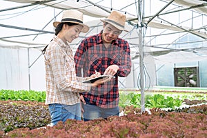 Two Asia farmers inspecting the quality of organic vegetables grown using hydroponics.