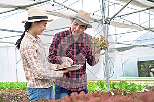 Two Asia farmers is smiling and harvesting vegetables from a hydroponic farm, Concept of growing organic vegetables and healthy f