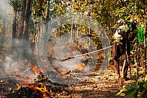 Two asian firefighters battle a wildfire