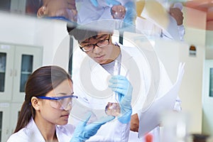 Two Asian Laboratory scientist working at lab with test tubes