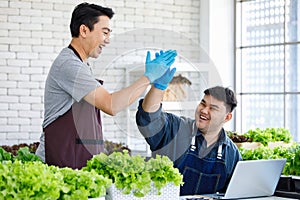 Two Asian professional male farmers gardeners workers in apron and rubber gloves holding hands high five smile together when