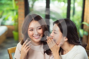 Two asian women friends chatting and gossipping photo