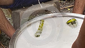 Two Asian young men workers hand washing recycled used wine bottles for local homemade liquor in a humid and showery environment.