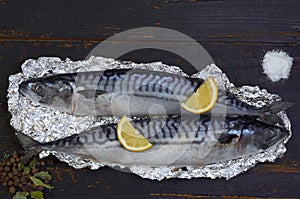 Two atlantic mackerel fishes ready for cooking decorated with spices, salt and lemon slices on the black wooden background