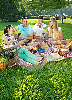 Two couples picnicking in a park photo