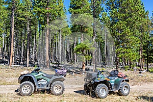 Two ATVs in a Forest