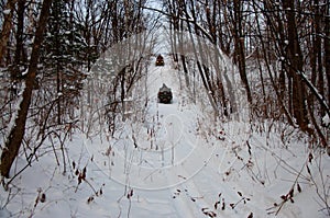 Two ATVs on wheels with headlights on ride through a snowy forest.