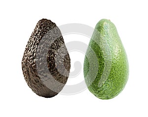 Two avocados isolated. Isolated avocado. Cut avocado fruit isolated on white background. Avocado with copy space for text