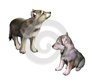 Two baby wolfs, puppies