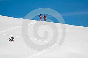 Two backcountry skiers enjoying the view and climbing a mountain