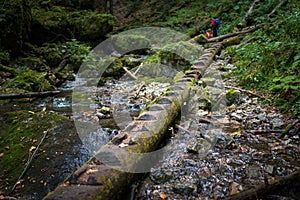 Two backpackers (a woman with a little son) are walking along a creek in a canyon of the Slovak Paradise National Park