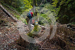 Dvaja batôžkári (žena s malým synom) kráčajú popri potoku v kaňone národného parku slovenský raj