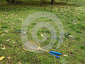 Two badminton rackets on green grass in the park