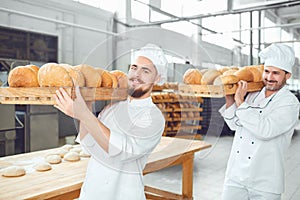 Two bakers men carry trays with bread at the bakery.