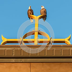 Two bald eagles on Catholic church steeple on top of the Christian cross at Annunciation Church in South Minneapolis