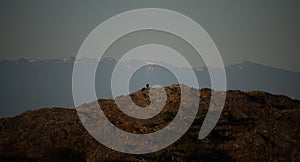 Two bald eagles sitting on a rocky outcrop at sunrise