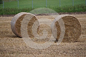 Two bales of hay in the field after harvest, preparing for autumn 2019. Agriculture. Haystack on a field. August countryside view