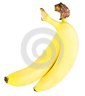 Two bananas