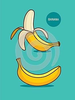 Two bananas illustration. Banana icon.