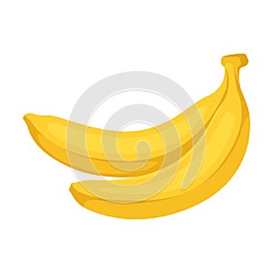 Two bananas. Vector illustration on a white background.