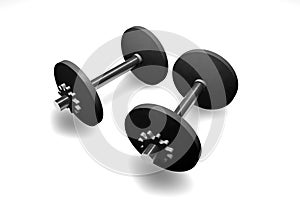 Two Barbells