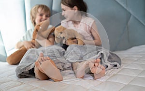 Two barefoot children sitting under a blanket on the bed, holding soft toys, communicate cheerfully