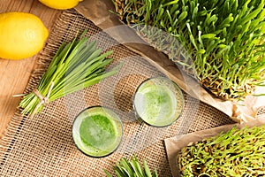 Two barley grass shots with freshly grown barley grass