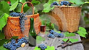 Two baskets with grapes, wine bottle and wineglass stand on rustic wood. Wine making background