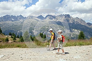 Two bays walk on ground path in summer mountains photo