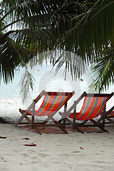 Two beach chairs on beach under palm-trees