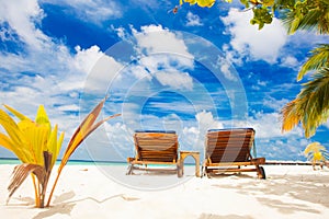 Two beach chairs on white sand topical beach. Maldives